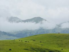 -新疆那拉提国家旅游度假区