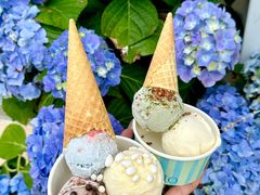 -苏小糖(鼓浪屿三丘田花园店)