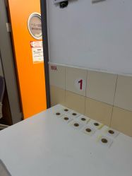 -上海交通大学医学院附属上海儿童医学中心(陆家嘴总院区)