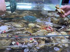 -聚盛源蒸汽海鲜火锅烤肉自助(巨川金海岸购物广场店)