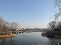 -大兴滨河森林公园