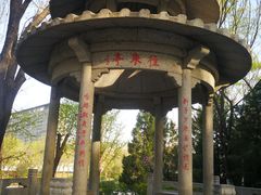 -玲珑塔公园