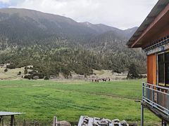 -鲁朗边巴次仁农家石锅