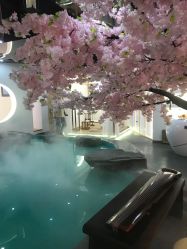 -雅极坞国潮SPA轻养馆