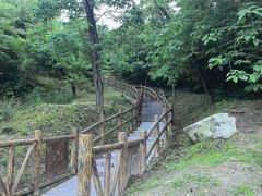 -白水寺森林公园