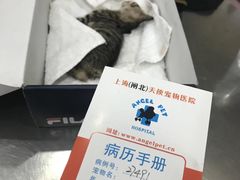 -瑞派天使宠物医院·神经外科·骨科·核磁(洛川中路店)