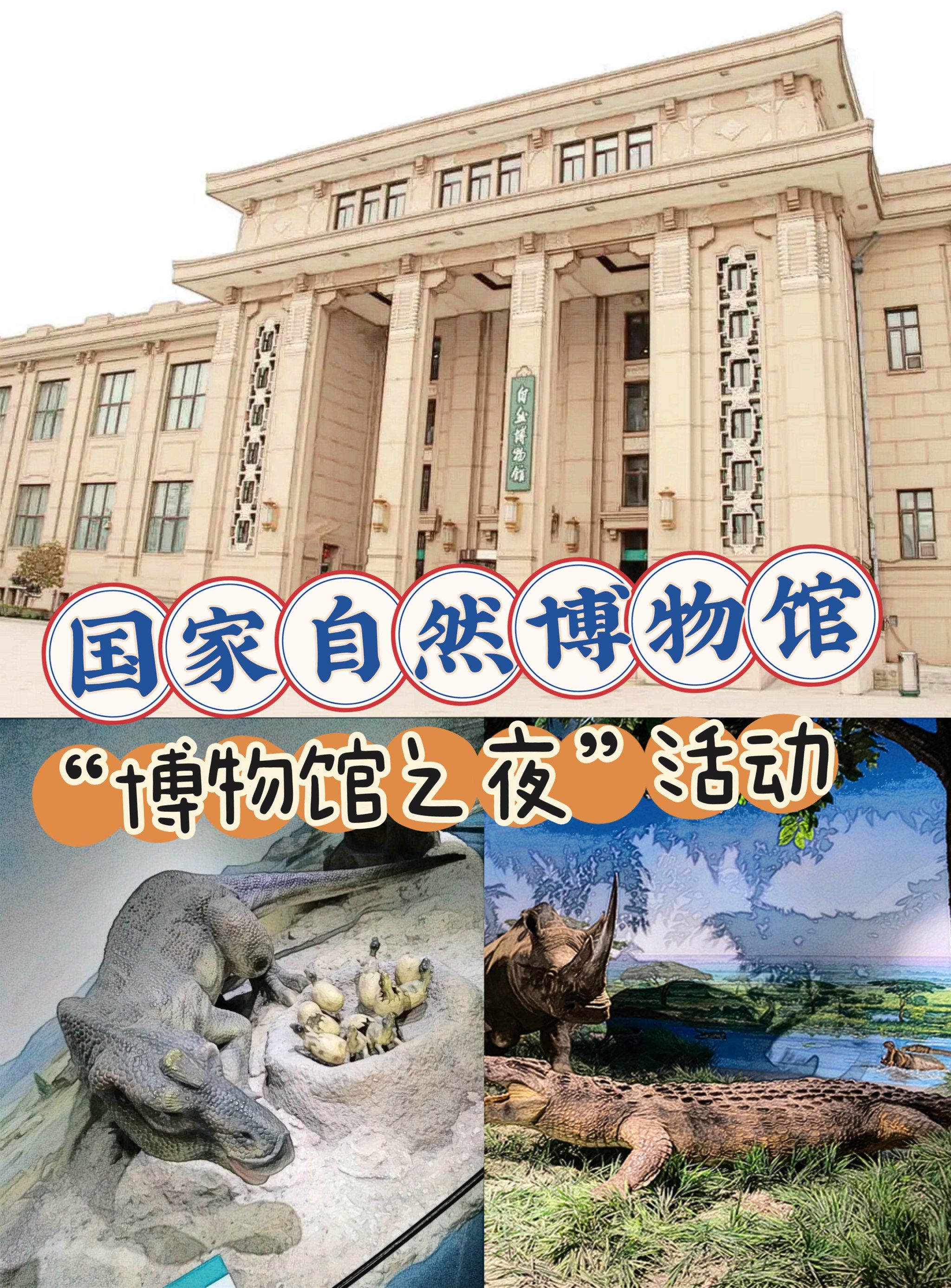 【活动推荐】国家自然博物馆-博物馆之夜