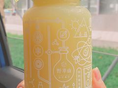 -野萃山·潮汕厚果汁(十亩地店)