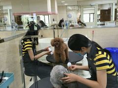 -多卡布奇宠物生活馆(上林世家店)