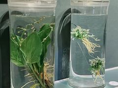 -中国湿地博物馆