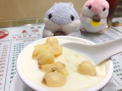 -义顺牛奶公司(新马路老店)