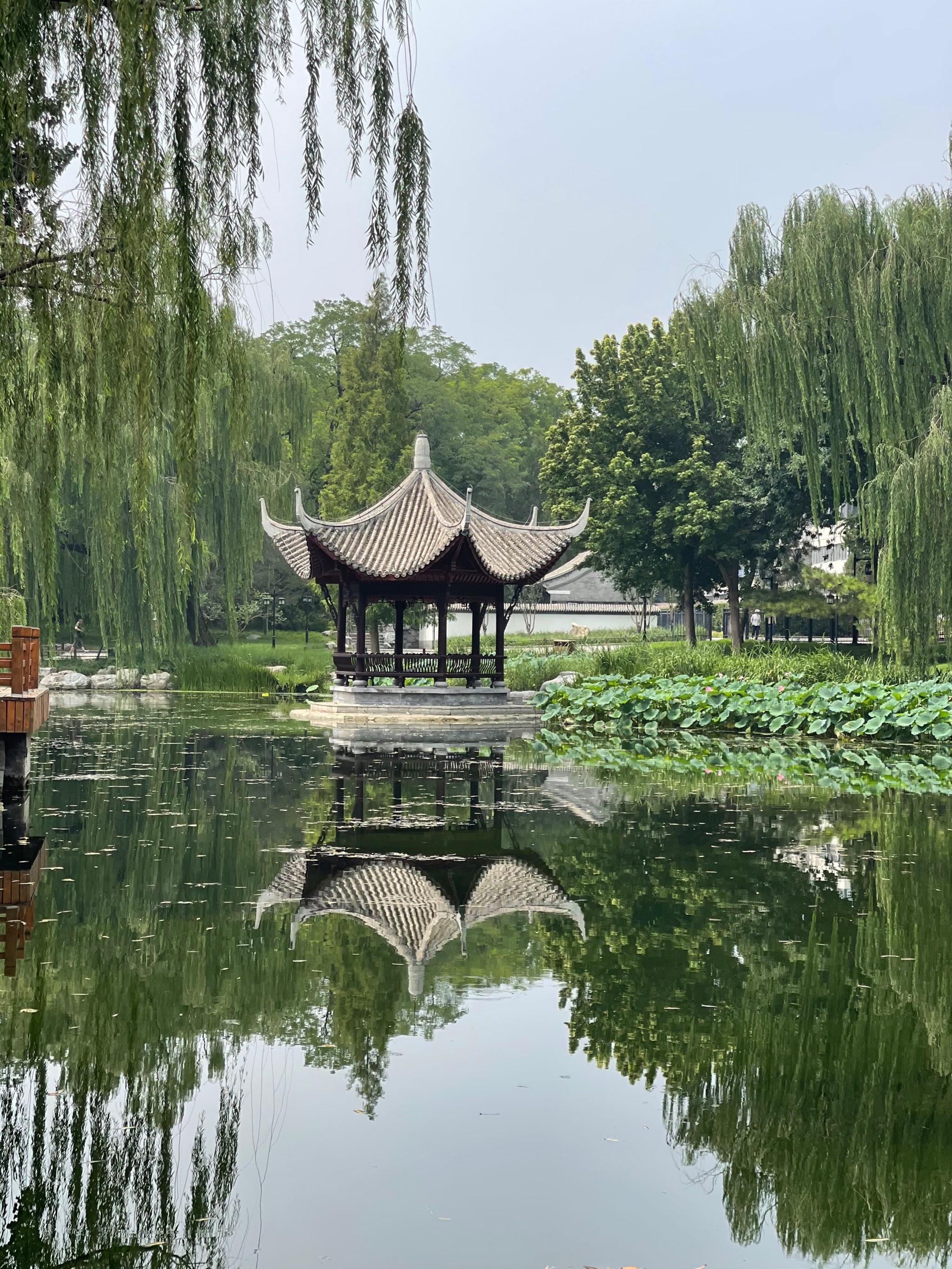 夏天的亭第五话图片