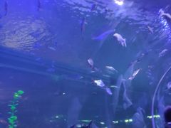 -白鹿仓冰雪海洋世界