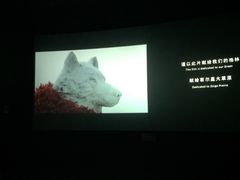 -五洲国际广场(文峰路店)