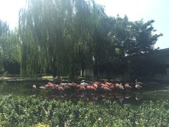 -石家庄市动物园