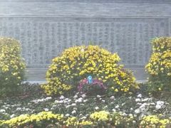 iphone_upload_pic-迎泽公园