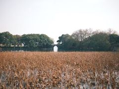 -杭州湖滨in77