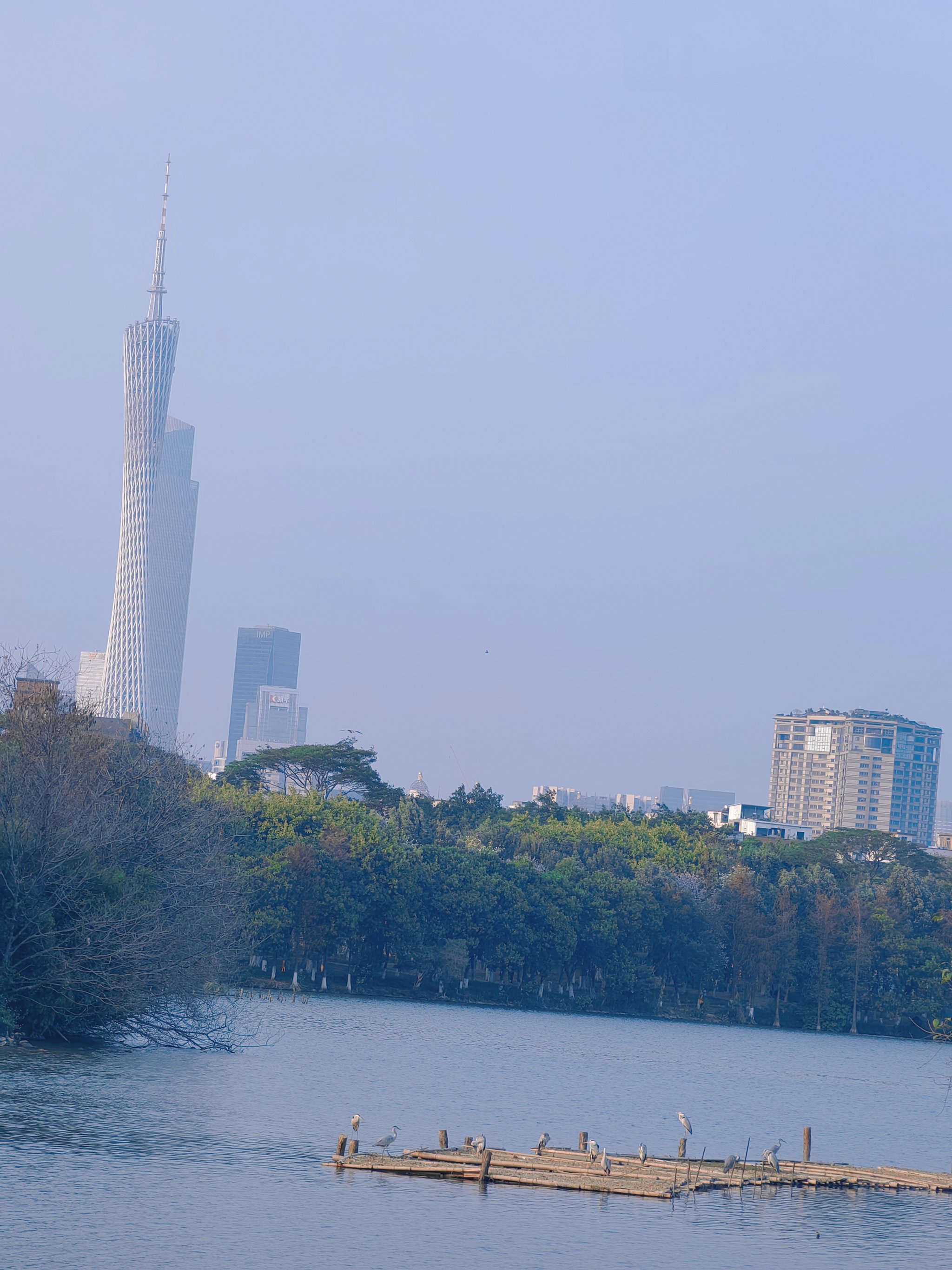 广州海珠湖风景图片