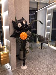 点击看大图 -3AM·S HAIR SALON烫发染发接发