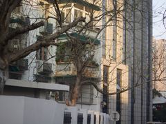 门口街道上的一棵树-Be Lived Cafe比例咖啡(摩天轮店)