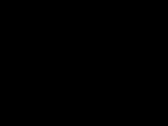 -芸山季·云南山珍菌火锅(南翔印象城MEGA店)