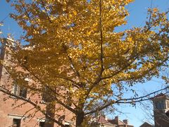 WP_20141102_13_11_48_Pro-星巴克(天津五大道店)