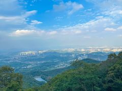 -黄埔油麻山森林公园