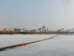 -莲花池公园