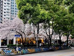 -玛格萝妮比萨屋(四平店)