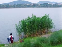 -羊山湖公园