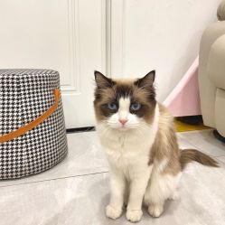 点击看大图 -花系美·美甲美睫精品店