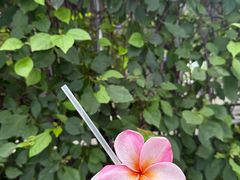 -时光花园(白鹭洲店)