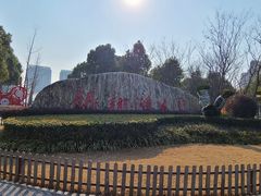 -南翔镇银翔湖公园
