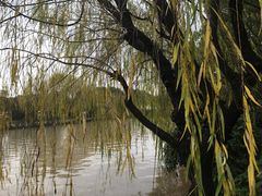 -上海中医药大学附属曙光医院(东部)