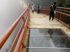 -少华山国家森林公园