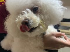 -安安宠医·安宠宠物医院