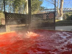 -春晖园度假酒店温泉