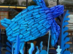 -海合安武汉极地海洋公园