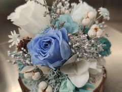 -植物学家的女儿(北马道巷店)