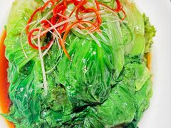 -新侨小馆(东直门北小街店)