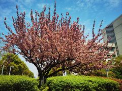 -江南大学(蠡湖校区)