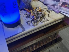 -第三空间·趣味桌游·轰趴.室内CS.剧本杀(大武汉1911店)