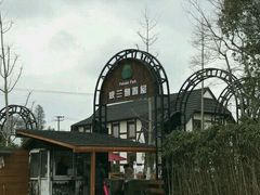 -金山农民画村-枫泾波兰倒置屋