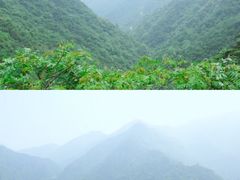 -东天目山风景区