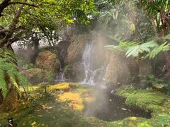 -Chom Cafe and Restaurant