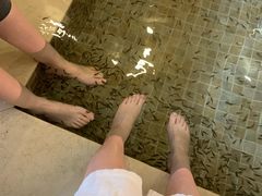 -中家鑫园温泉酒店鑫悦汤泉