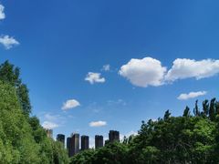 -长白岛森林公园