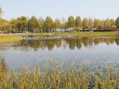 -北龙湖湿地公园