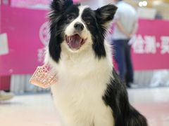 -国际非物质文化遗产博览园