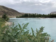 -马白开来特色羊排揪片子  (总店)